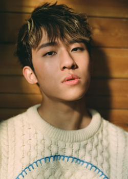 Chan Ngai San (ANSONBEAN) (2000)