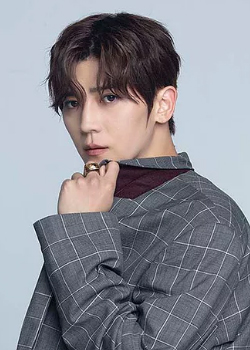 Bi Shu Jin (Bii) (1989)