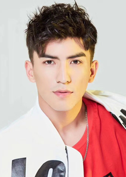 Fei Er Duo Si (1990)