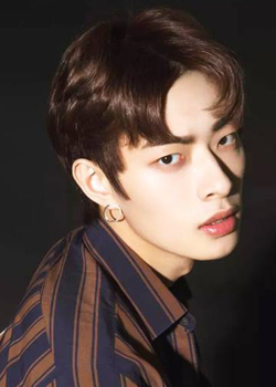 Li Zhen Yang (KWIN - ONER) (1994)