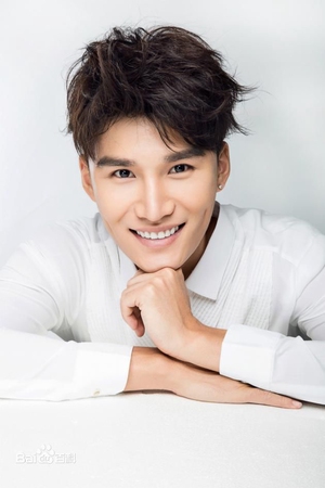 Sheng Zi Ming (1991)