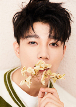 Yang Ting Dong (1994)