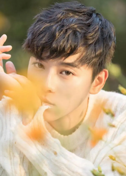 Yuan Zhi Ying (1993)