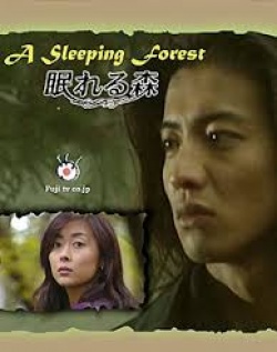 A Sleeping Forest