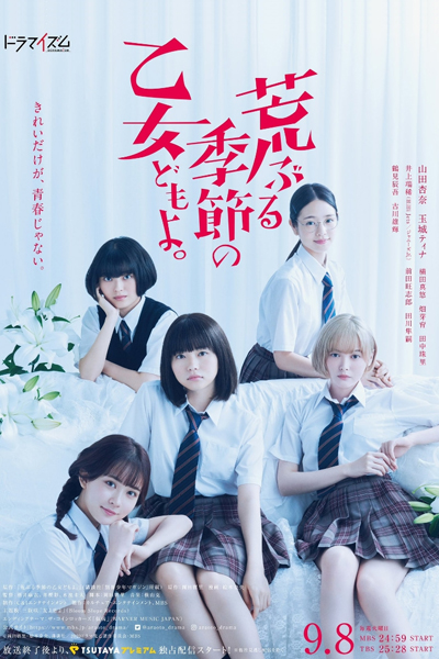 Draughty Seasonal Maidens (Araburu Kisetsu no Otomedomo yo)